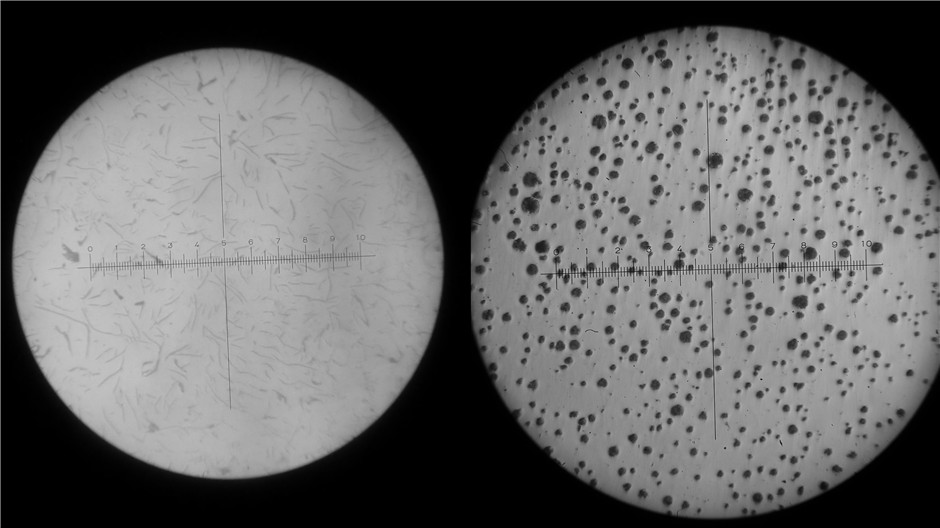 天津北瀛新资料